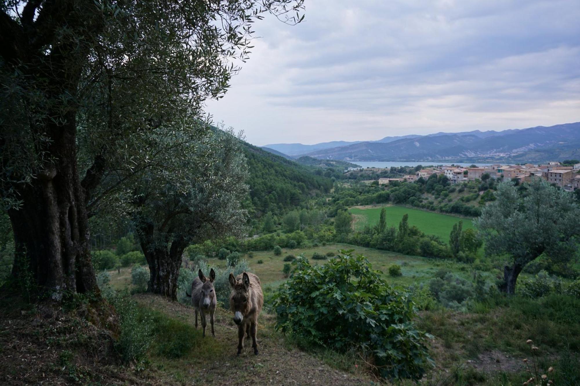Casa Jaumet: Un Lloc De Pau On Escoltar El Silenci Διαμέρισμα Aramunt Εξωτερικό φωτογραφία